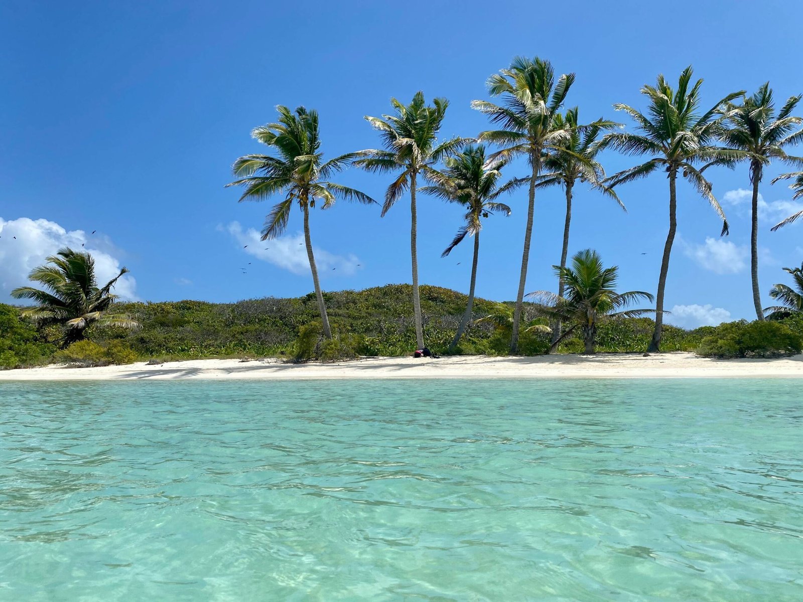 In February the weather circumstances are ideal for a cruise to the Panama Canal. The mild temperatures will allow for outdoor activities to immerse yourself in the breathtaking nature of the area. Go hiking in rainforests, experience whitewater crafting, enjoy kayaking, or simply surrender to the countless diverse beaches Panama’s coastline offers.If you have been thinking of visiting New Zealand, February is a great month to do so. During February the area experiences the warmest weather that makes sailing a blast. Apart from the worth-visiting landmarks and the beautiful shores, there are also a lot of festivals you can attend to truly get to know New Zealand’s culture. 