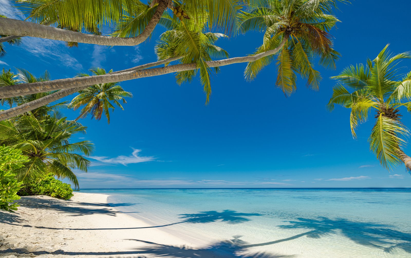 Perfect,Island,Beach,Coast.,Tropical,Travel,Landscape,Of,Summer,Paradise.