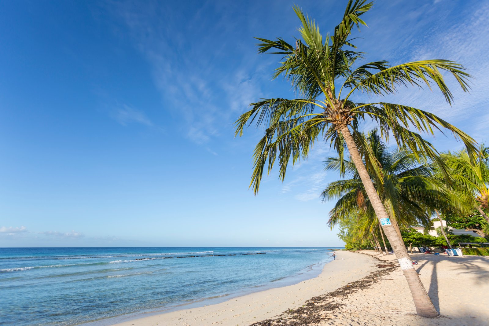 Savannah,Beach,,Bridgetown,,Christ,Church,,Barbados,,West,Indies,,Caribbean,,Central