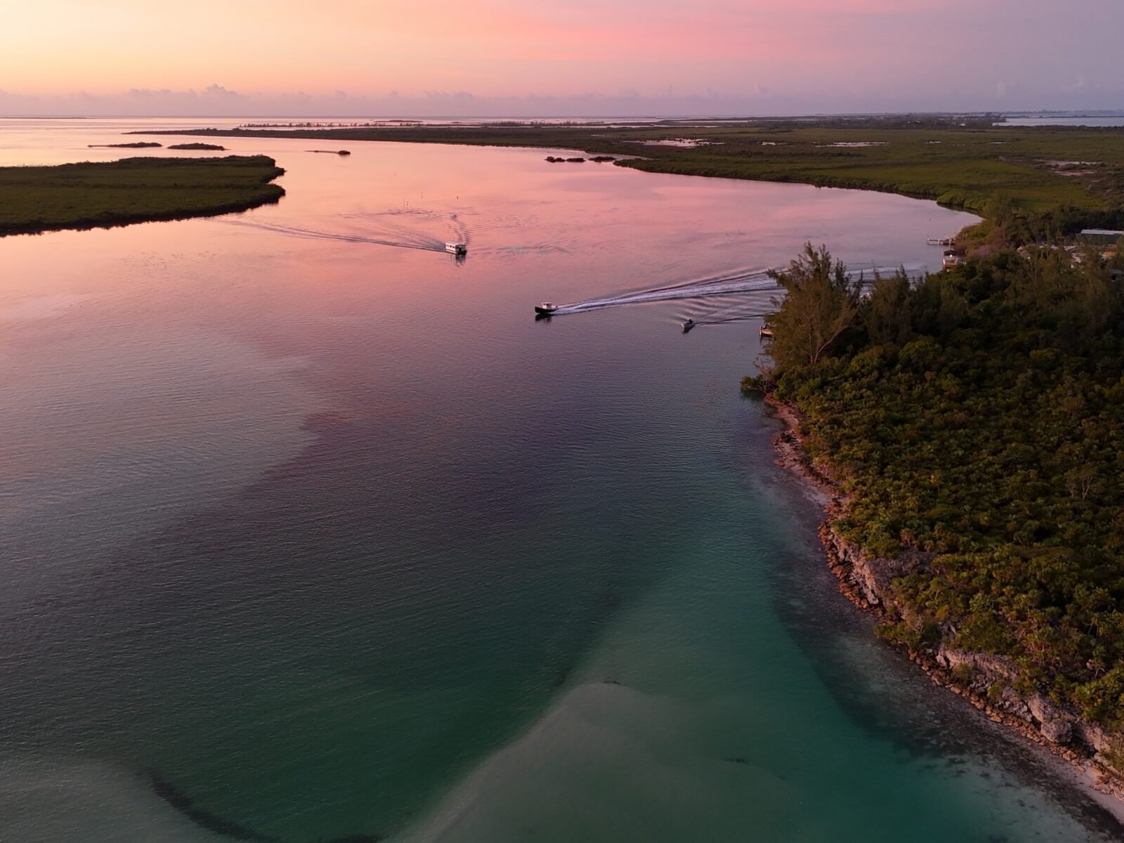 Parrot,Cay,,Turks,And,Caicos,Islands