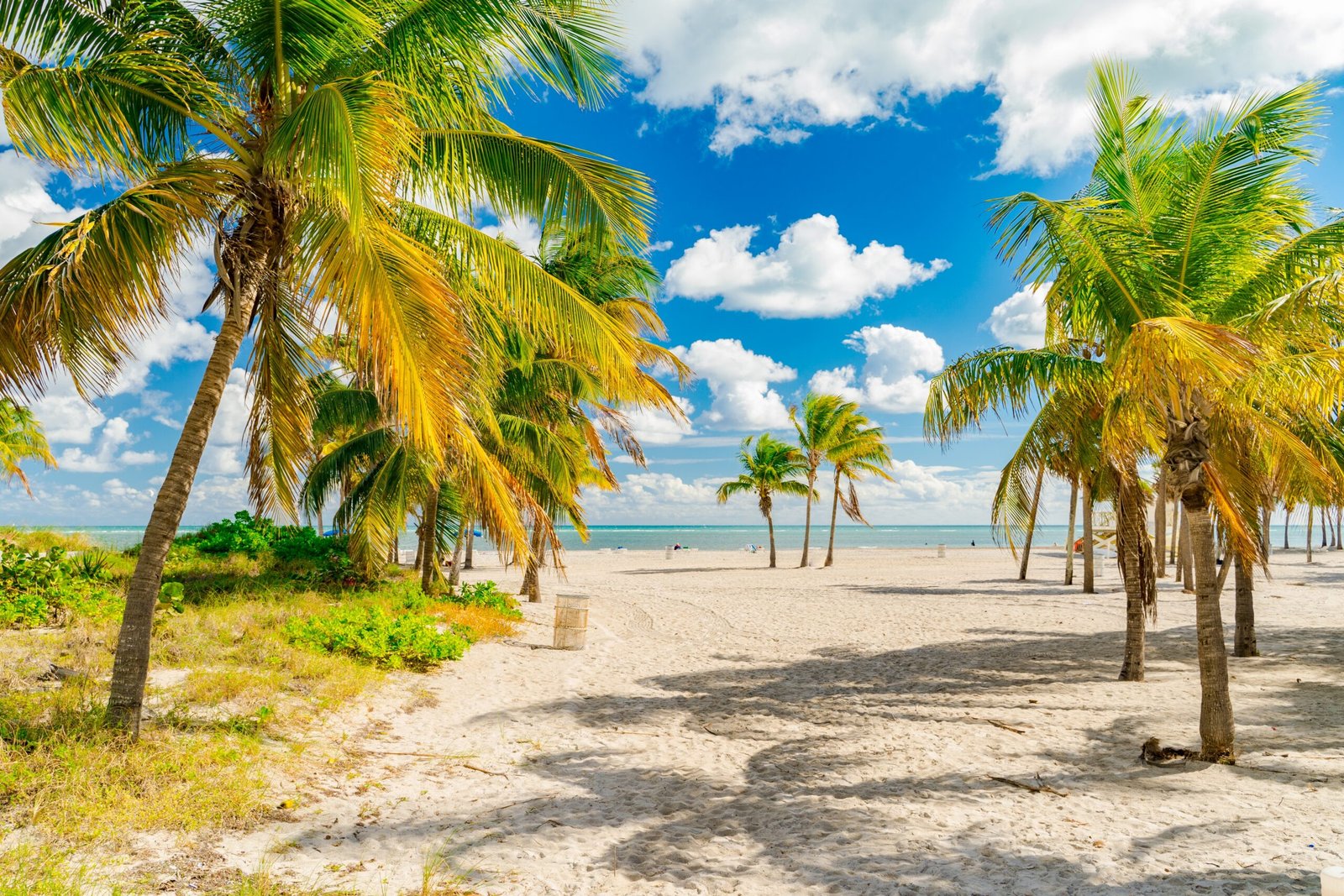 A,Scenic,View,Of,Crandon,Beach,In,Miami,,Florida