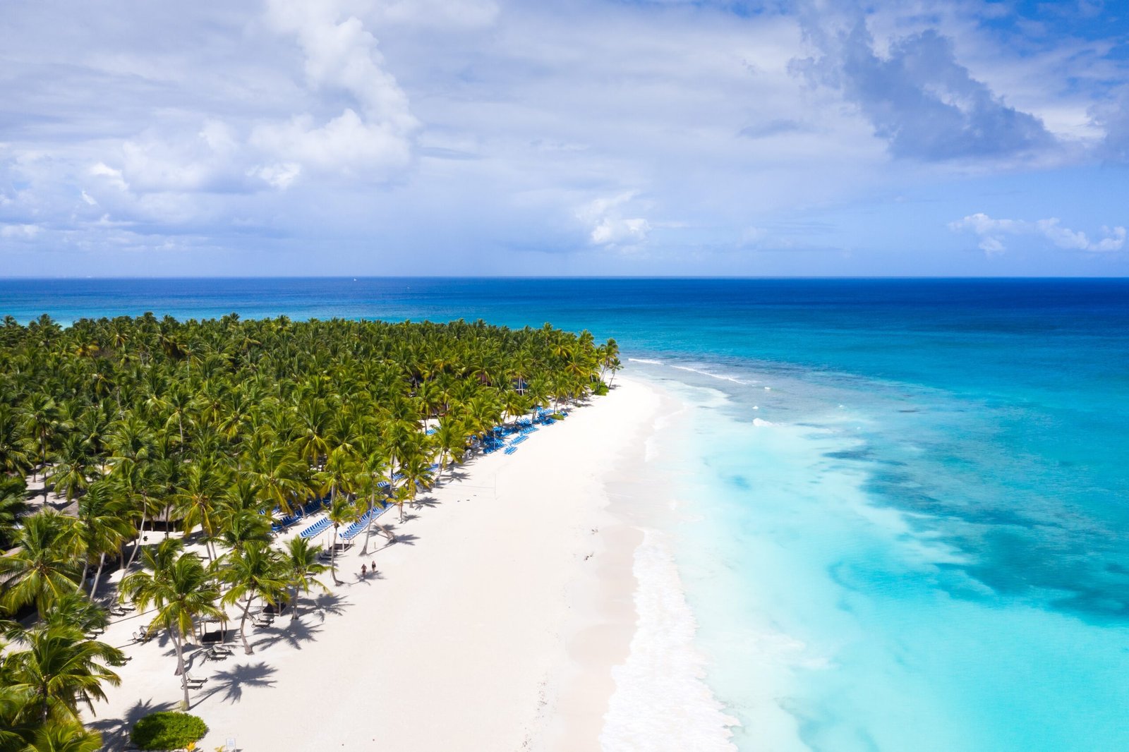 Aerial,View,On,Tropical,Beach,With,Coconut,Palm,Trees,And