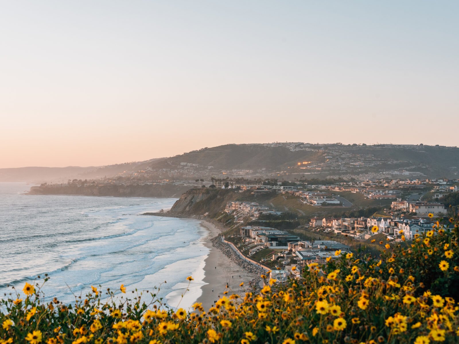 Yellow,Flowers,And,View,Of,Strand,Beach,From,Dana,Point