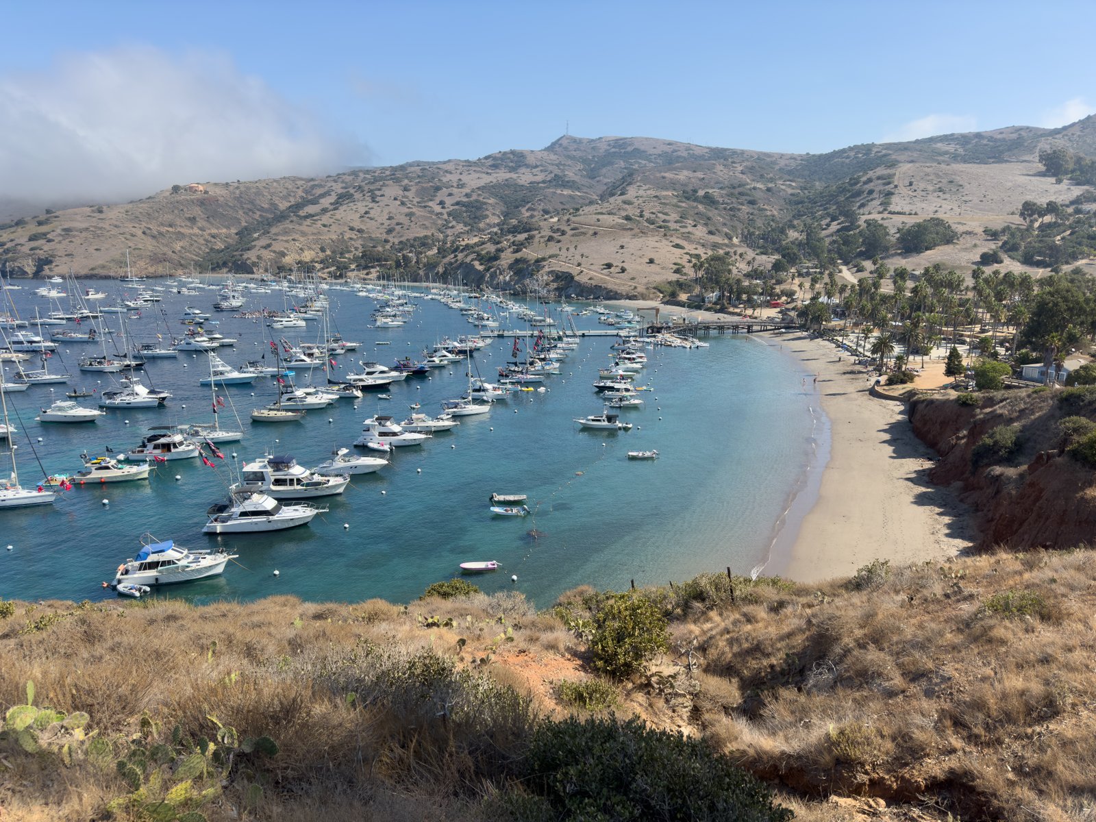 Two,Harbors,,Catalina,Island,,Ca,-,October,9,,2024:,Isthmus