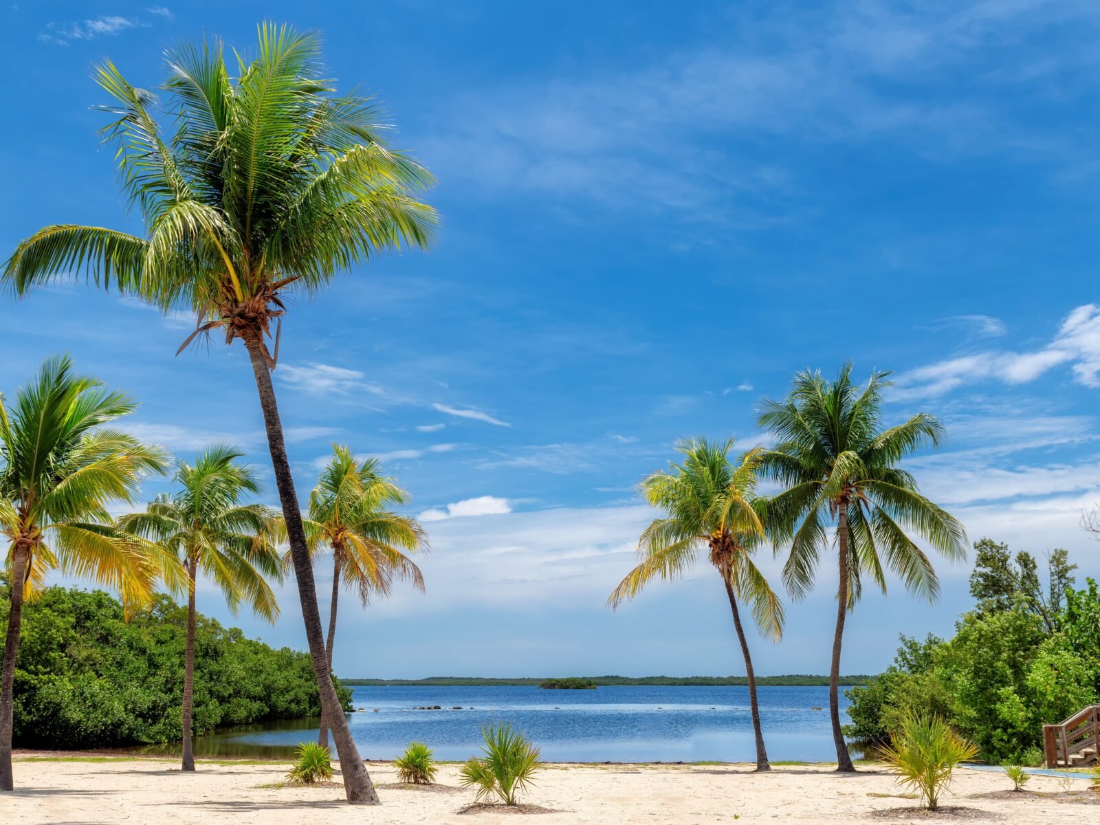 Palm,Beach,And,Tropical,Sea,In,Key,Largo,Beach,,Florida.